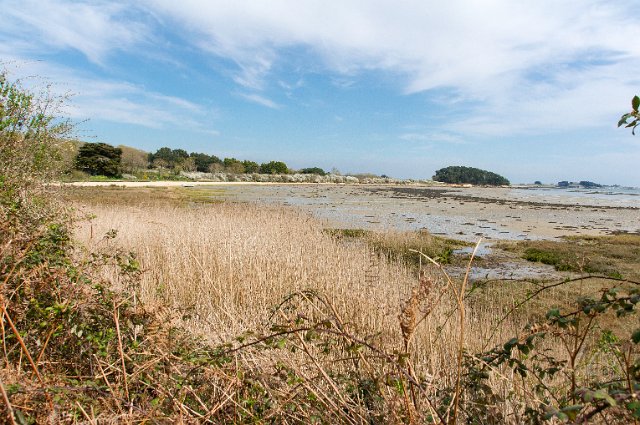 0210Ile aux Moines.jpg - SONY DSC
